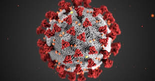 Estate Planning during COVID-19 Novel Coronavirus